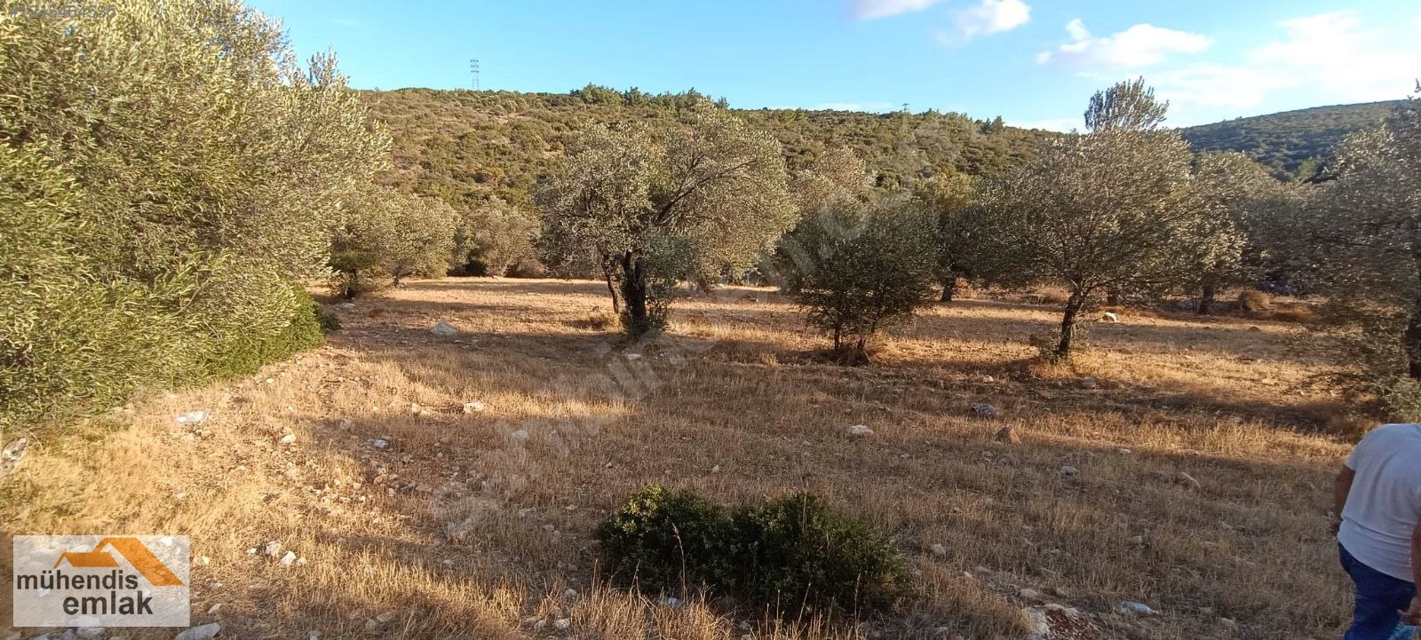 MÜHENDİS EMLAK URLA BALIKLIOVA ILDIR YOLU SIRTDA 8,5 DÖNÜM TARLA - İZMİR URLA fotoğraf 3