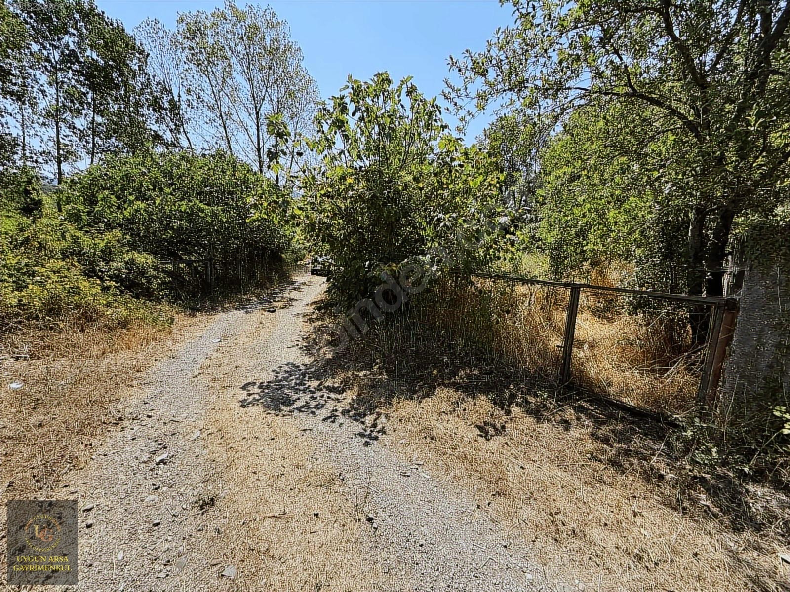 KASTAMONU CİDE ÇAYÜSTÜN'DE DENİZE 1 KM MESAFE'DE İMARLI ARSA - KASTAMONU CİDE fotoğraf 14