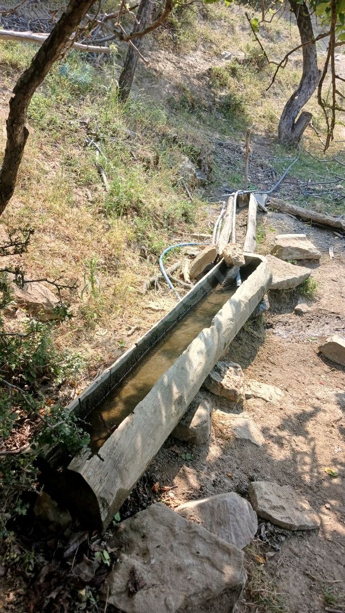 DENİZLİ BABADAĞ KELLECİ KÖYÜNDE  1.586 M²  BAĞ SATILIKTIR - DENİZLİ BABADAĞ fotoğraf 17