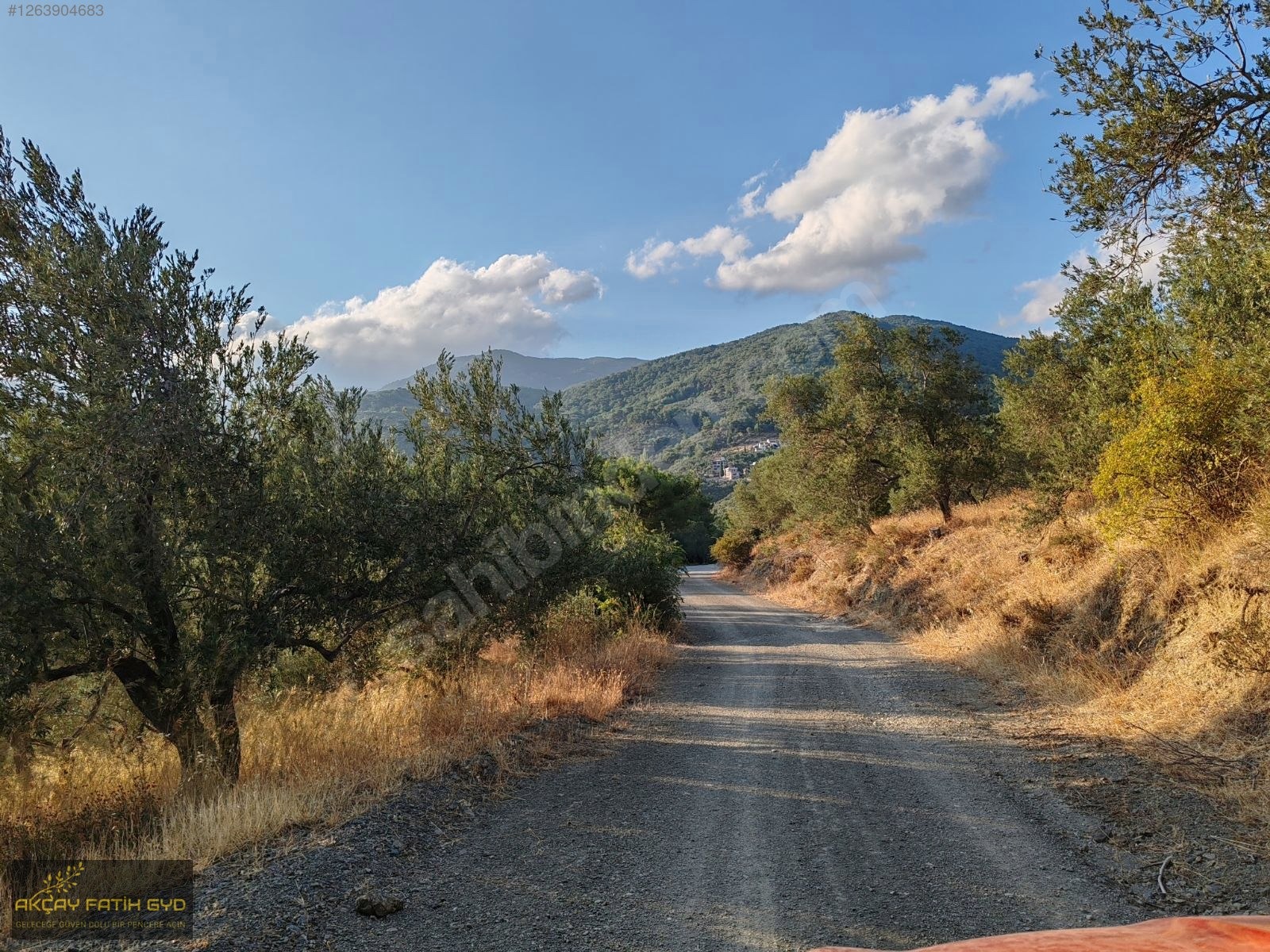 Zeytinli de 8.5 Dönüm SATILIK Zeytinlik - BALIKESİR EDREMİT fotoğraf 8