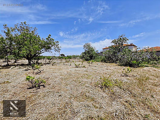 Kemalpaşa Armutlu Satılık 1120 m2 Bahçe - İZMİR KEMALPAŞA fotoğraf 25