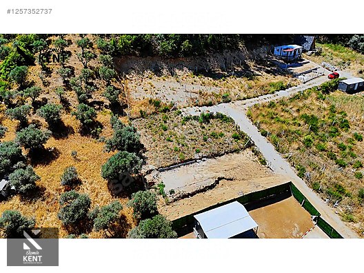 Kemalpaşa Yukarıkızılca Satılık 303 m2 Bahçe Elektrik Su Yol - İZMİR KEMALPAŞA fotoğraf 25