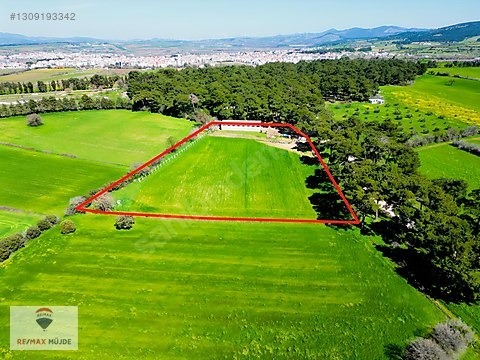 Çanakkale Bayramiç Kutluoba Satılık Tarla - ÇANAKKALE BAYRAMİÇ fotoğraf 32