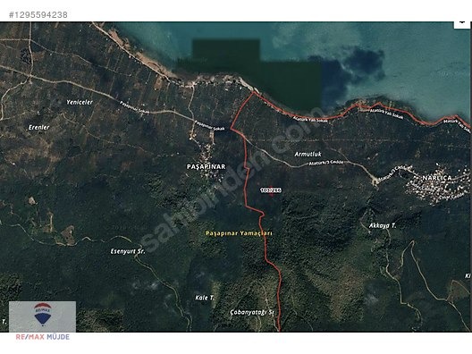 BURSA ORHANGAZİ NARLICA MAH. 1.247 M2 SATILIK ZEYTİNLİK - BURSA ORHANGAZİ fotoğraf 14