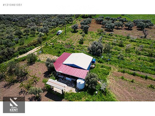 Kemalpaşa Halilbeylide Satılık 3000 m2 Bahçe 40 m2 Ev - İZMİR KEMALPAŞA fotoğraf 3
