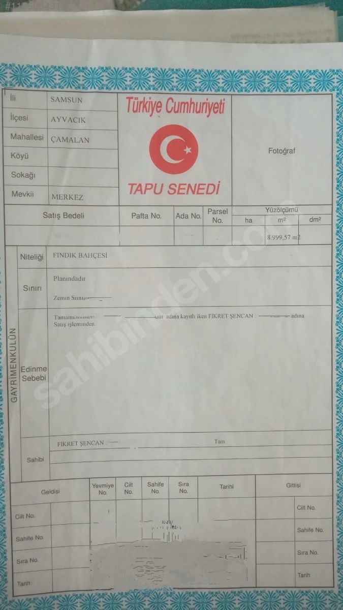 SAMSUN AYVACIK ÇAMALAN KÖYÜNDE 8.999 M² FINDIK BAHÇEMİZ SATILIKTIR. - SAMSUN AYVACIK fotoğraf 7