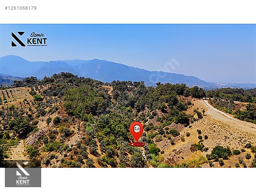 Kemalpaşa Yukarıkızılca Satılık 950 m2 Bahçe Tek Tapu - İZMİR KEMALPAŞA fotoğraf 30