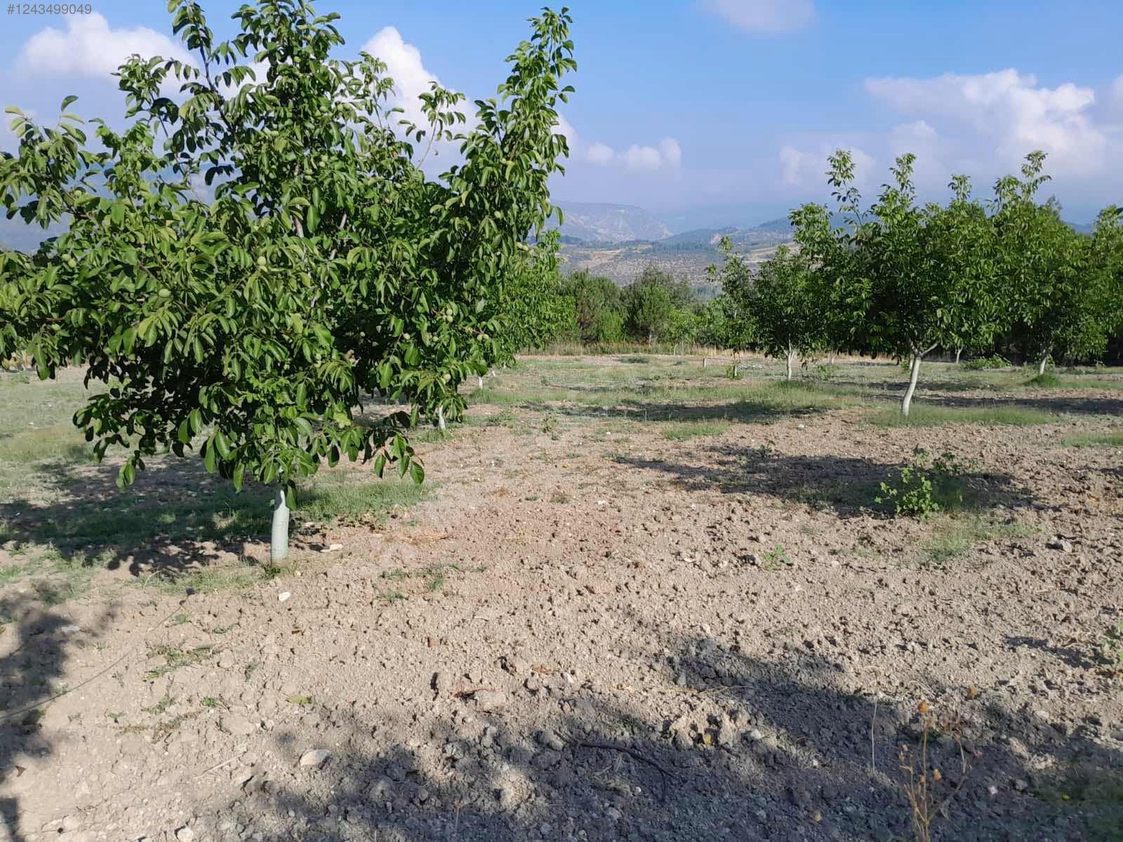 BURSA KELEŞ BELENÖREN'DE 5.270  M² BAHÇE SATILIKTIR - BURSA KELES fotoğraf 29