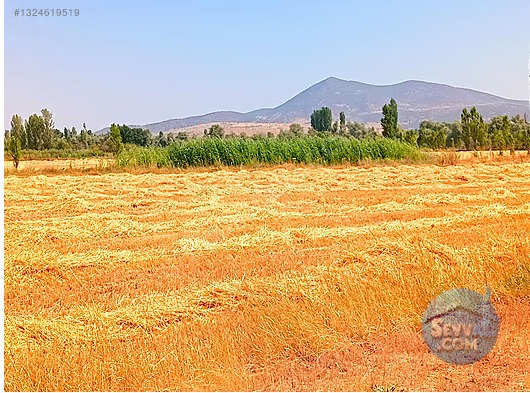KONYA SEYDİŞEHİR AKÇALAR DA 825 M² TARLAMIZ SATILIKTIR - KONYA SEYDİŞEHİR fotoğraf 7