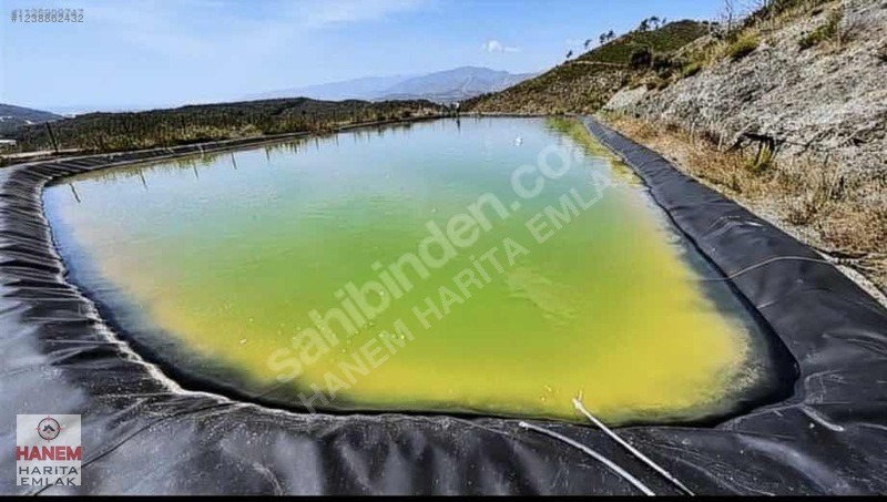 HANEM HARİTA EMLAK TAN SATILIK NARENCİYE BAHÇESİ - ANTALYA KUMLUCA fotoğraf 15