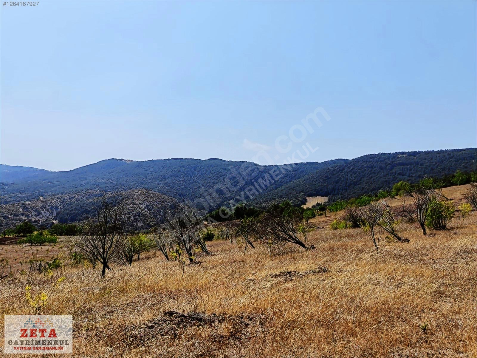 Bilecik Karaahmetler'de Yatırımlık 23.460 m² Satılık Tarla - BİLECİK GÖLPAZARI fotoğraf 4