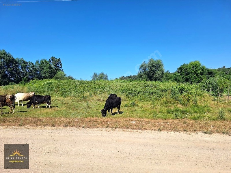 KARASU KUZULUK MAHALLESİNDE SATILIK 7.170 M2 TARLA - SAKARYA KARASU fotoğraf 8