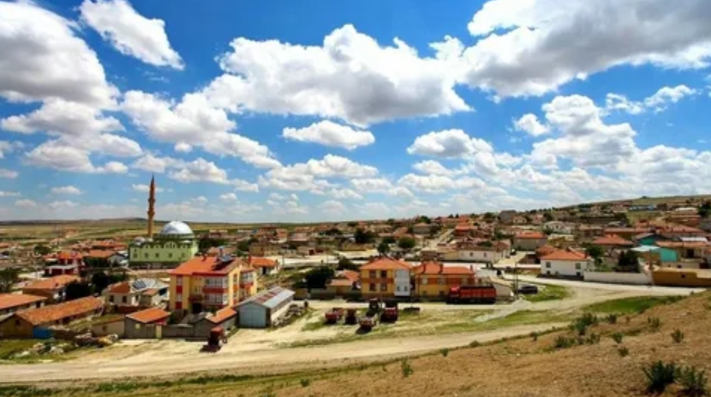 KONYA ALTINEKİN HACINUMAN KÖYÜNDE  KERPİÇ EV VE ARSASI SATILIKTIR. - KONYA ALTINEKİN fotoğraf 6