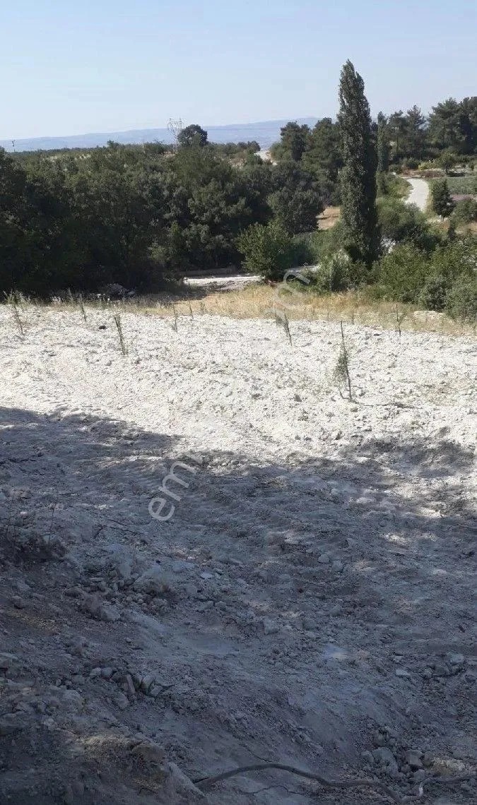 Yeliz'den Manisa Soma Göktaş'da Yatırımlık Arazi - MANİSA SOMA fotoğraf 3