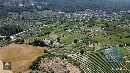 KUŞADASI KİRAZLI da SATILIK ÜZÜM BAĞI ANA YOLA YAKIN - AYDIN KUŞADASI fotoğraf 5