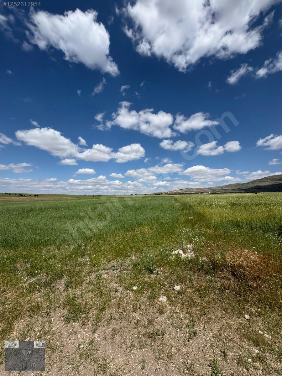 KÜÇÜK BÜRÜNGÜZDE 29.490M2 TEK TAPU SATILIK YATIRIMLIK TARLA - KAYSERİ MELİKGAZİ fotoğraf 5