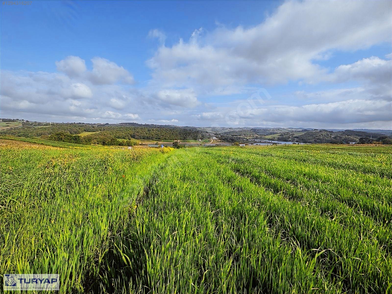 DERİNCE TAHTALI'DA ASFALT CEPHELİ%5 İMARLI 6.827M² ARSA - KOCAELİ DERİNCE fotoğraf 9
