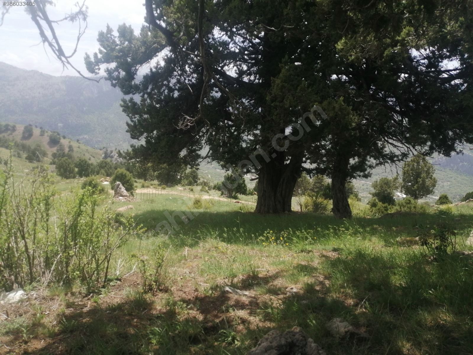 Meyva Bahçesi Yapmaya uygun İmamlı Yaylasında Tarla 1.793 m² ANTALYA ALANYA - ANTALYA ALANYA fotoğraf 5