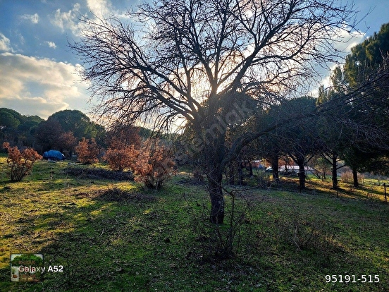 BERGAMA KOZAK YAYLASI KARAVELİLER MAH DE 2360 m2 BAHÇE - İZMİR BERGAMA fotoğraf 6