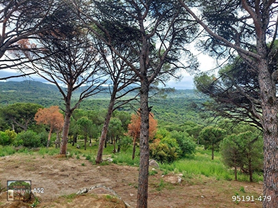 BERGAMA KOZAK YAYLASI AYVATLAR MAHALLESİNDE İKİ ADET 1350 M2 ARSA MANZARALI TANE - İZMİR BERGAMA fotoğraf 5