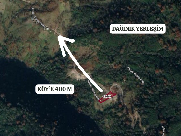 ARTVİN BORÇKA EFELER  KÖYÜ’NDE 2.376 M² FINDIK BAHÇESİ SATILIKTIR - ARTVİN BORÇKA fotoğraf 4