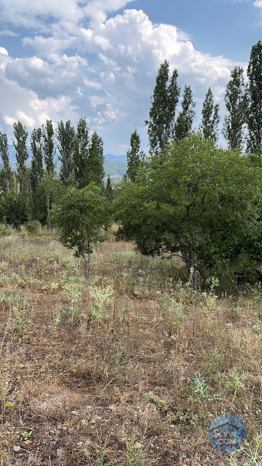 AĞLASUN KIRAÇ MAHALLESİNDE SATILIK FIRSAT ARAZİ - Burdur Ağlasun fotoğraf 28