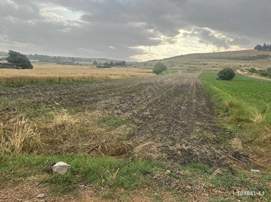 KUZUÇARDAĞI KÖYÜNDE 2245 M2 MÜSTAKİL TAPU %60 İMARLI ARSA - KIRKLARELİ BABAESKİ fotoğraf 17