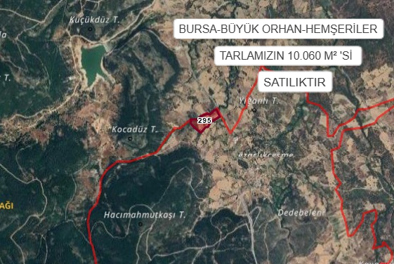 BURSA BÜYÜK ORHAN HEMŞERİLER MAHALLESİ’NDE TARLAMIZIN 10.060 M² 'Sİ SATILIKTIR. - BURSA BÜYÜKORHAN fotoğraf 2