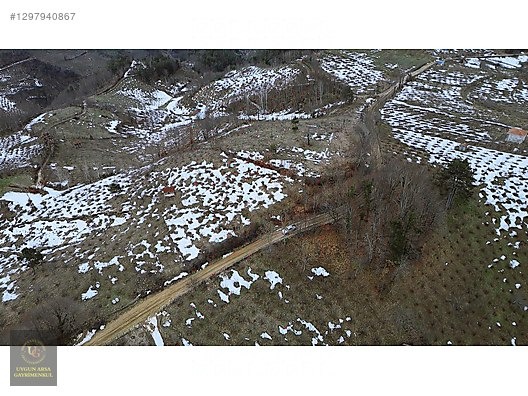 DÜZCE YIĞILCA HACILAR 'DA 2.744 M2 BAĞ EVİ OLAN FINDIK BAHÇESİ - DÜZCE YIĞILCA fotoğraf 19
