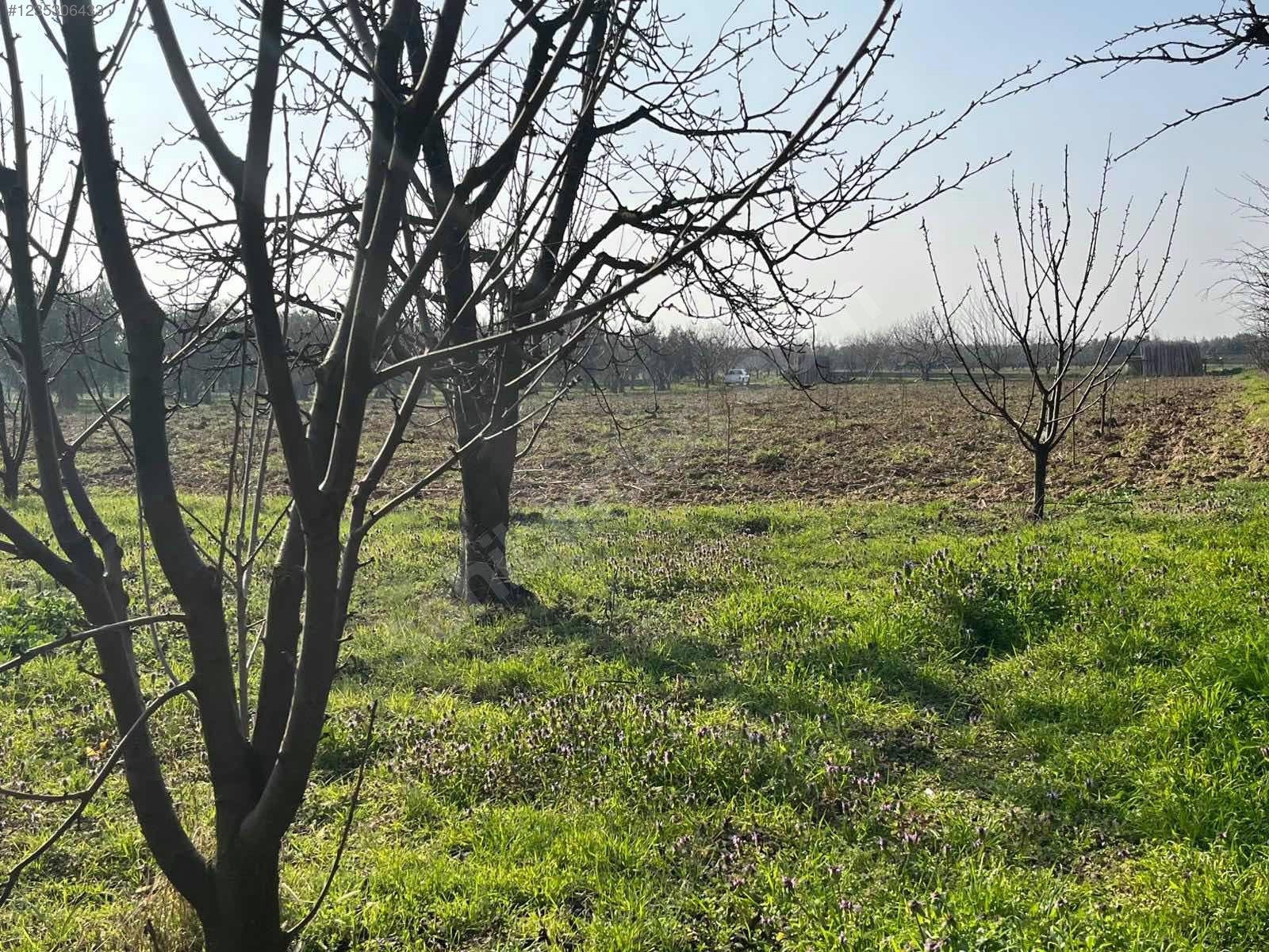 BURSA İZNİK ÖMERLİ MAHALLESİ'NDE  9.656 M² TARLAMIZ SATILIKTIR - BURSA İZNİK fotoğraf 12