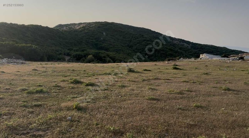 HATAY / YAYLADAĞI / ŞENKÖY MAHALLESİNDE YATIRIMLIK İMARLI ARSA! 490 M² - HATAY YAYLADAĞI fotoğraf 2