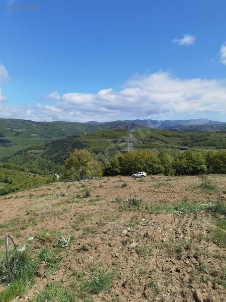 BURSA İZNİK TACİR KÖYÜNDE 13.056 M TARLA SATILIKTIR - BURSA İZNİK fotoğraf 9