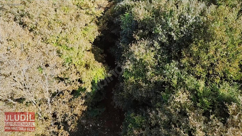 KANDIRA ÇALKÖYDE SATILIK TARLA - KOCAELİ KANDIRA fotoğraf 19