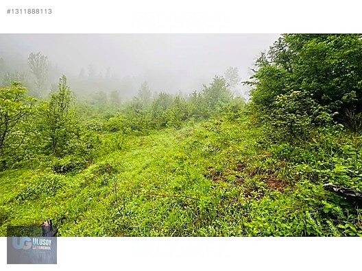 14 DÖNÜM TEK TAPU - BARTIN MERKEZ fotoğraf 9