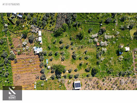 Kemalpaşa Armutlu Satılık Arazi 4.000 m2 - İZMİR KEMALPAŞA fotoğraf 19