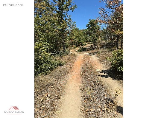 MUSTAFAKEMALPAŞA SOĞUCAK 7.055 M2 ARAZİ - BURSA MUSTAFAKEMALPAŞA fotoğraf 14