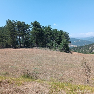 ORMAN İÇİNDE ARAZİ - BOLU GÖYNÜK fotoğraf 5