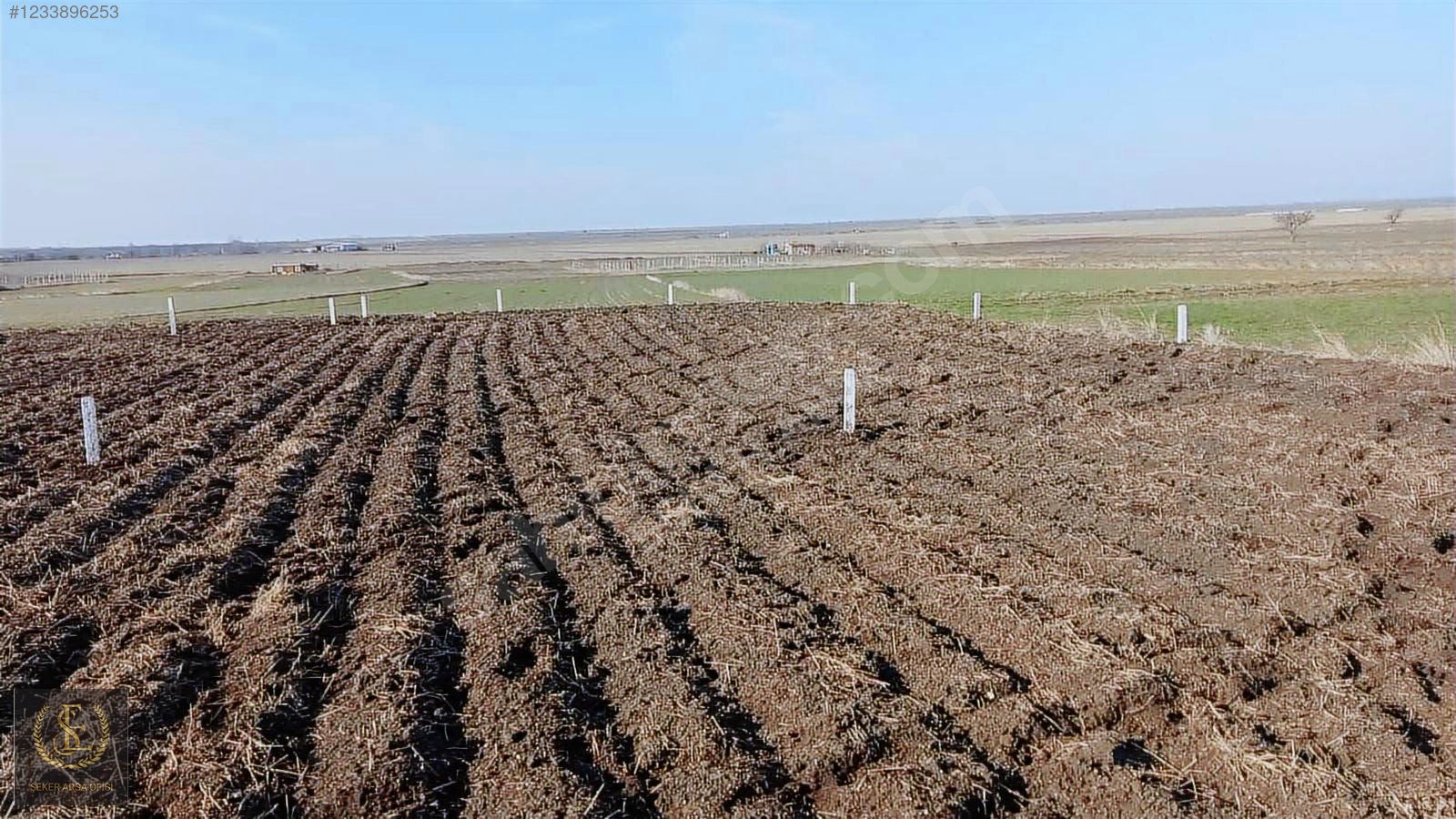 Tekirdağ saray Kadiköy bağ yeri - TEKİRDAĞ SARAY fotoğraf 6