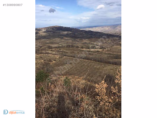 İnegöl Haytiyede Satılık 25 dönüm Yatırımlık Kıymetli Arazi. - BURSA İNEGÖL fotoğraf 8