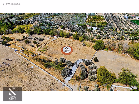 Kemalpaşa Nazarköy Satılık 9501m2 Bahçe - İZMİR KEMALPAŞA fotoğraf 9
