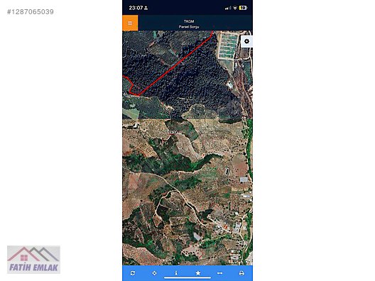 Fatih'ten muratoba da 607m2 yolu olan zeytinlik - BURSA GEMLİK fotoğraf 2