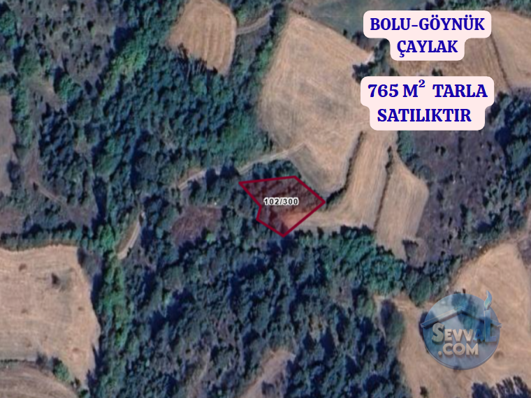 BOLU GÖYNÜK ÇAYLAK  KÖYÜNDE  765 M²  TARLA  SATILIKTIR - BOLU GÖYNÜK fotoğraf 2