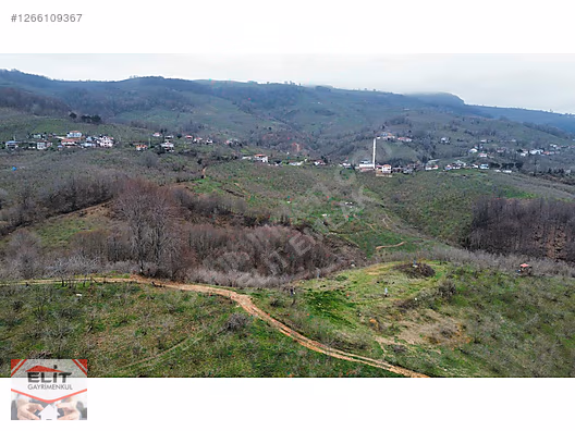 DÜZCE AKÇAKOCA DA EV YAPIMINA UYGUN SATILIK 7.768 M2 FINDIKLIK - DÜZCE AKÇAKOCA fotoğraf 10