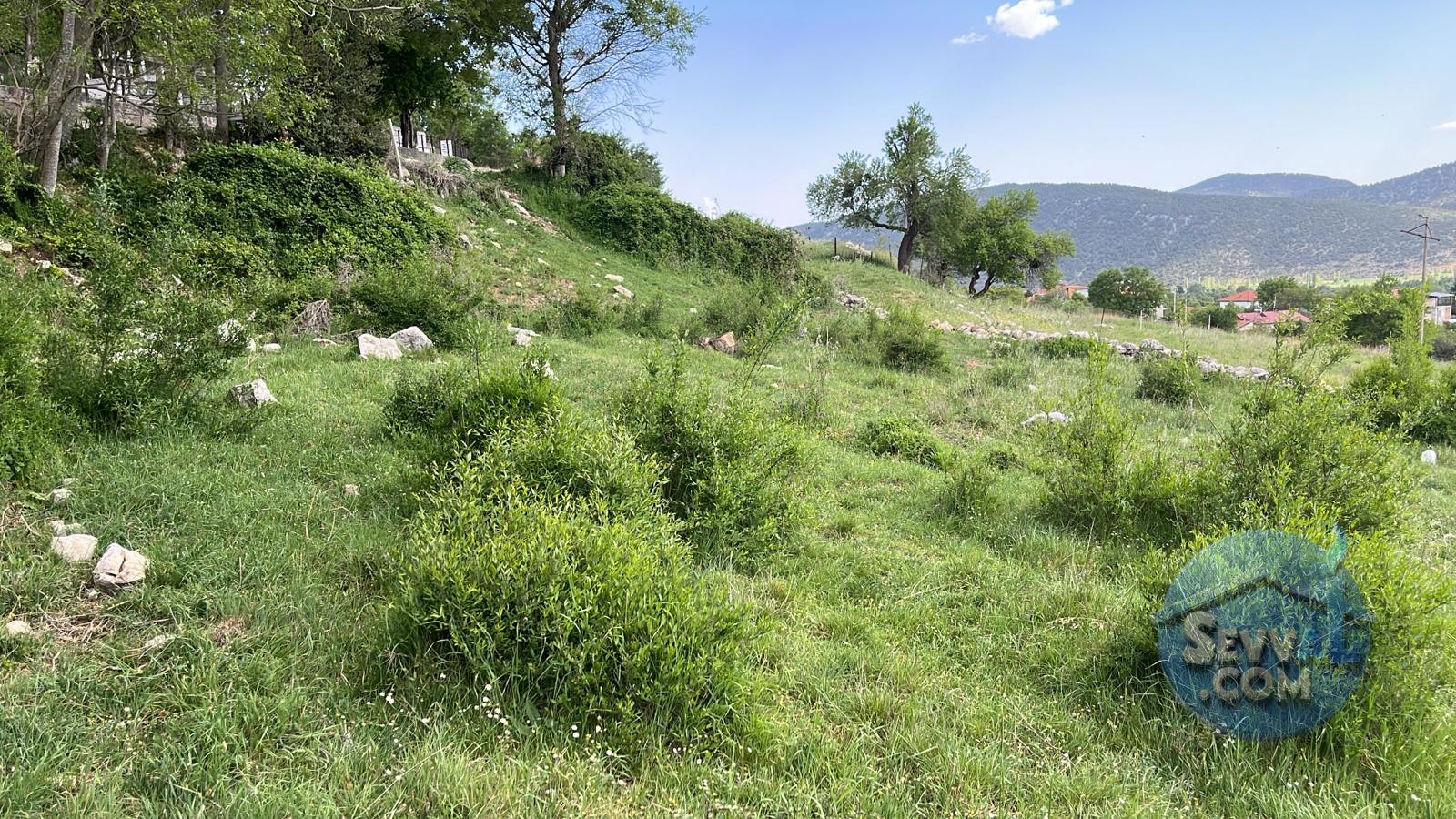 AĞLASUN YAZIR KÖYÜNDE FIRSAT ARAZİ - BURDUR AĞLASUN fotoğraf 9