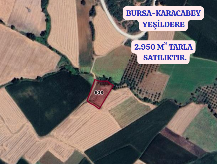 BURSA KARACABEY YEŞİLDERE KÖYÜNDE 2.950 M² TARLA SATILIKTIR - BURSA KARACABEY fotoğraf 2