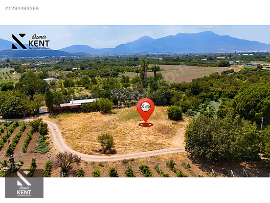 Kemalpaşa Yukarıkızılca Satılık 408 m2 Bahçe - İZMİR KEMALPAŞA fotoğraf 17
