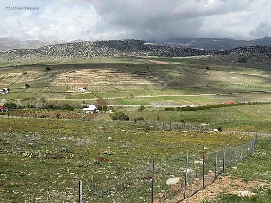 KORKUTELİ SÜLEKLER 2287 m2 ETRAFI TEL İLE ÇEVRİLMİŞ HAZIR BAHÇE - ANTALYA KORKUTELİ fotoğraf 9
