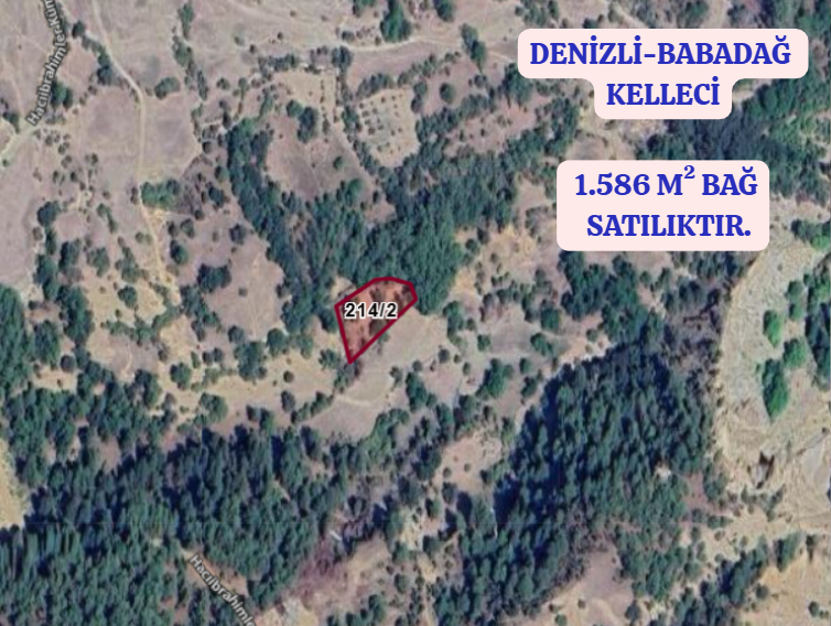 DENİZLİ BABADAĞ KELLECİ KÖYÜNDE  1.586 M²  BAĞ SATILIKTIR - DENİZLİ BABADAĞ fotoğraf 2