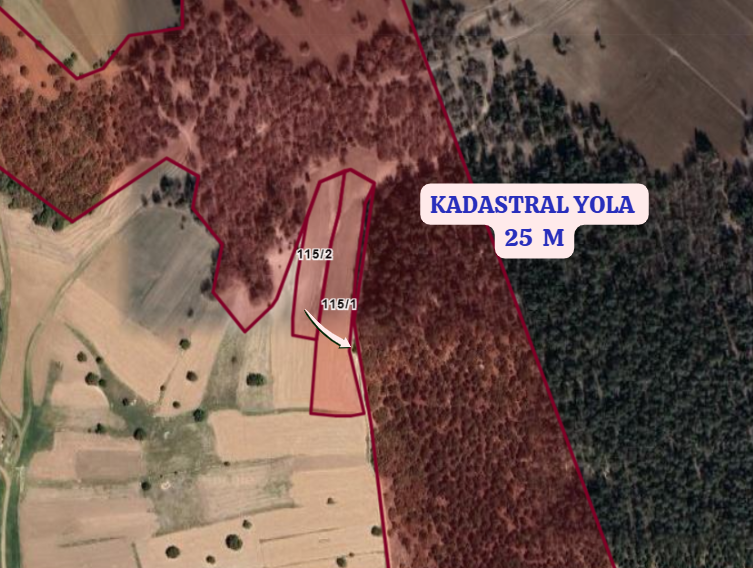 KÜTAHYA ALTINTAŞ PINARCIK  KÖYÜNDE 2.955  M²  TARLA  SATILIKTIR  - KÜTAHYA ALTINTAŞ fotoğraf 3