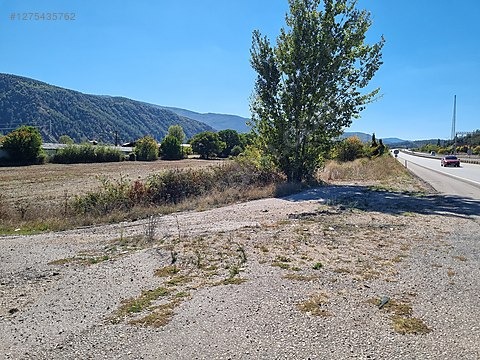 Cadde Emlaktan asfaltın kenarında satılık arsa ve tavuk çiftliği - KARABÜK ESKİPAZAR fotoğraf 4
